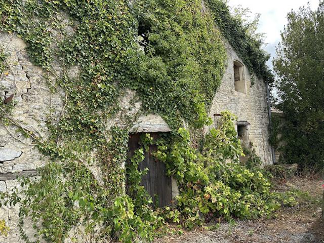 Maison vente à Saint-Jean-d'Angély, Sainte-même