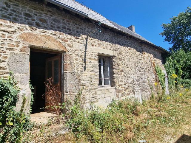 Maison vente à Mayenne, La Chapelle-au-riboul