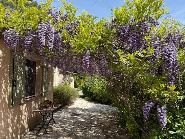 Maison vente à Arrondissement de Draguignan, Bargemon