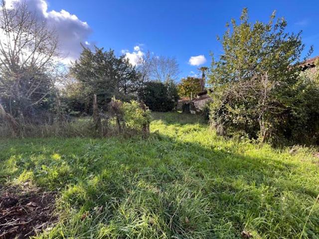 Maison vente à France métropolitaine, Chaniers