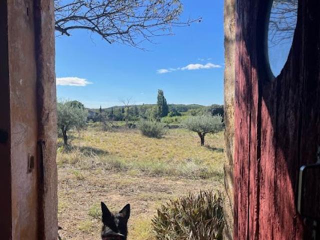Maison vente à Béziers, Roujan