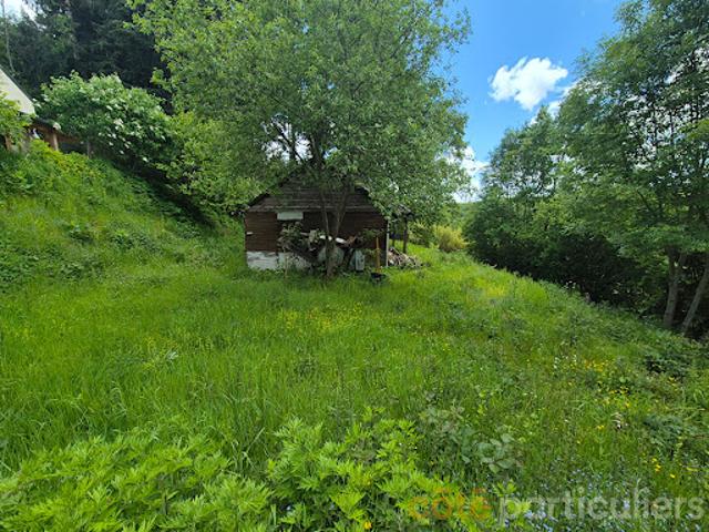 Maison vente à Millau, Le Vibal