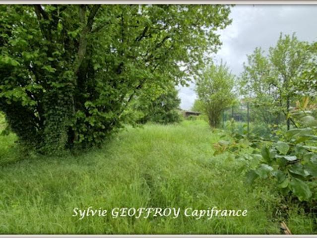 Maison vente à Épinal, Vincey