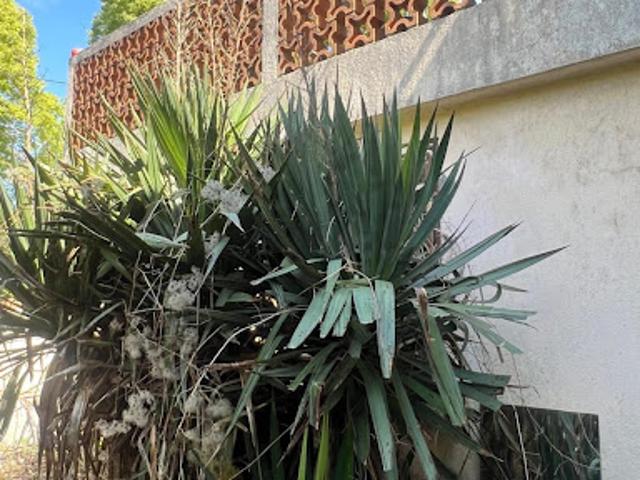 Maison vente à Bobigny, Vaux-montreuil
