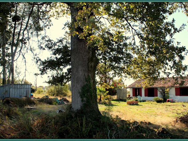 Maison vente à France métropolitaine, Belin-béliet