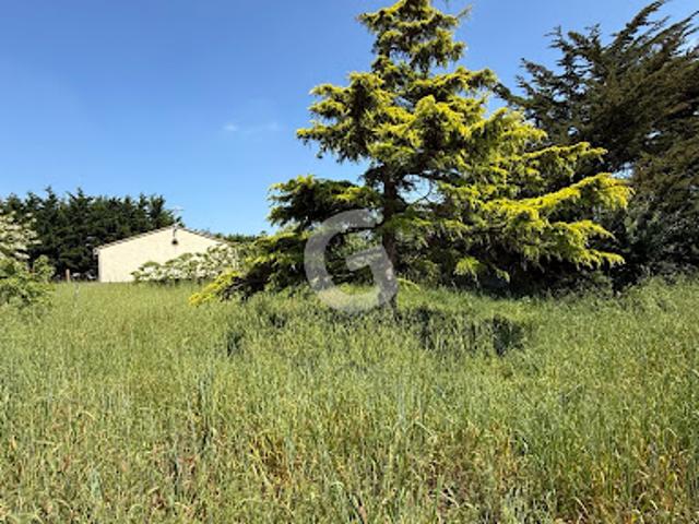 Maison vente à Les Sables-d'Olonne, Longeville-sur-mer