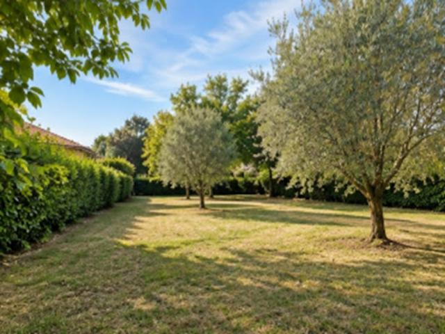 Maison vente à Saint-Laurent-d'Arce, Gironde
