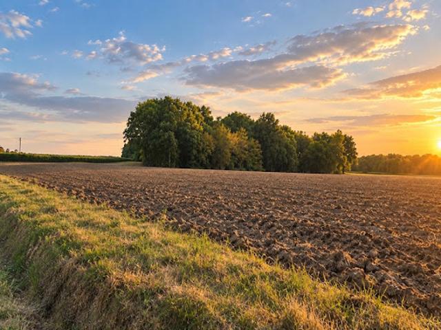 Maison vente à Blaye, Saint-savin