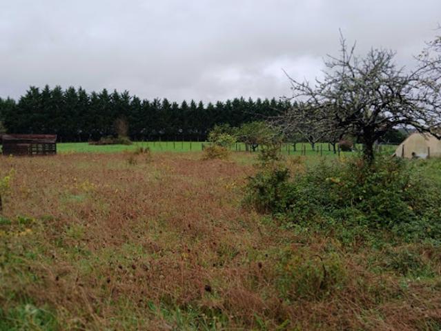 Maison vente à Périgueux, Tocane-saint-apre