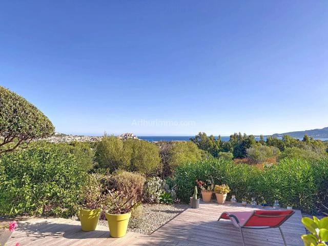 Maison vente à Calvi