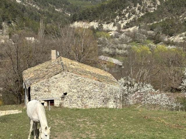 Maison vente à Die, Establet