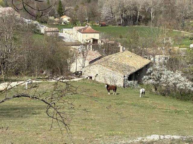 Maison vente à Die, Establet