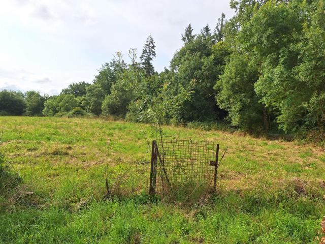 Maison vente à Nantes, La Chapelle-heulin