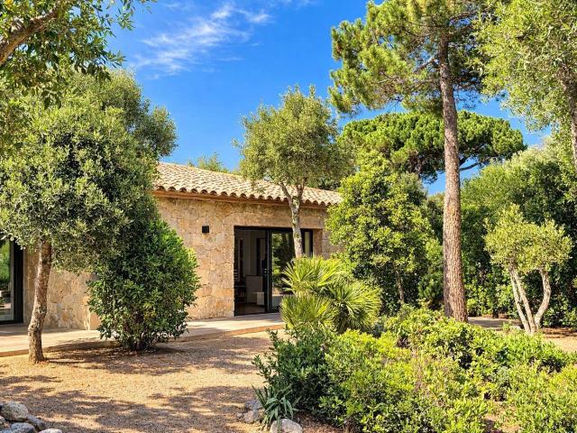Maison vente à Sartène, Lecci