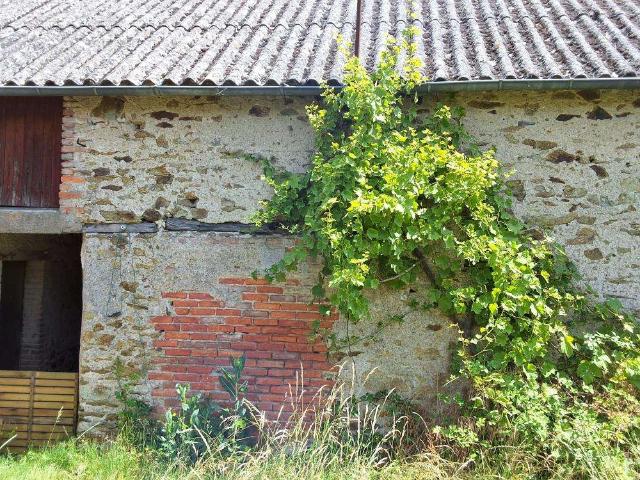 Maison vente à Angers, Mozé-sur-louet