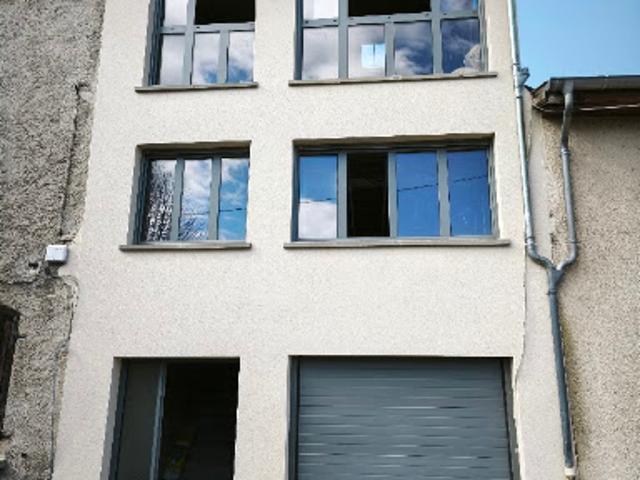 Maison vente à Lyon, Métropole de Lyon