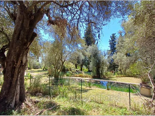 Maison vente à Grasse, Cabris