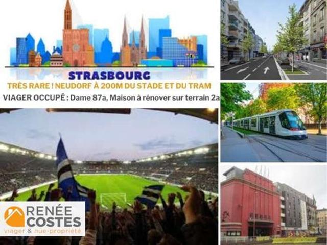 Maison vente à France métropolitaine, Hoenheim