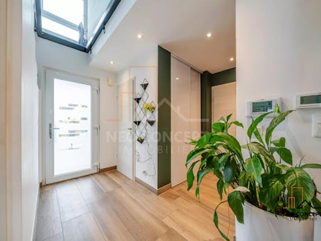 Maison vente à Drusenheim, Collectivité européenne d'Alsace