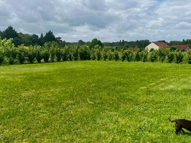 Maison vente à Poilly-sur-Tholon, Yonne