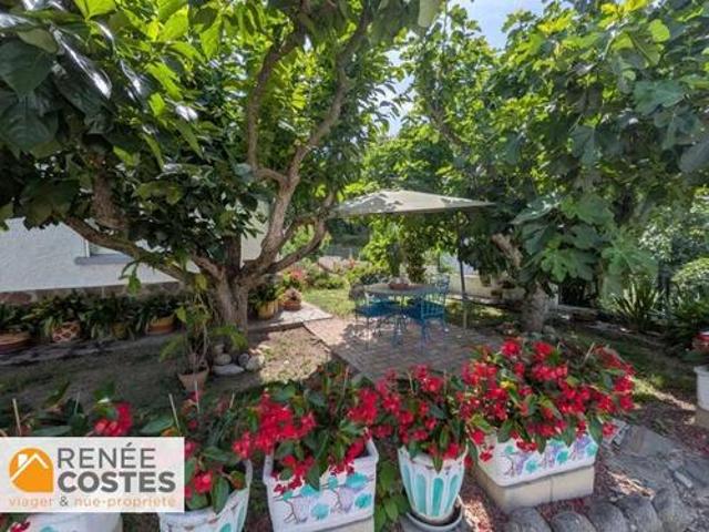 Maison vente à Céret, Argelès-sur-mer
