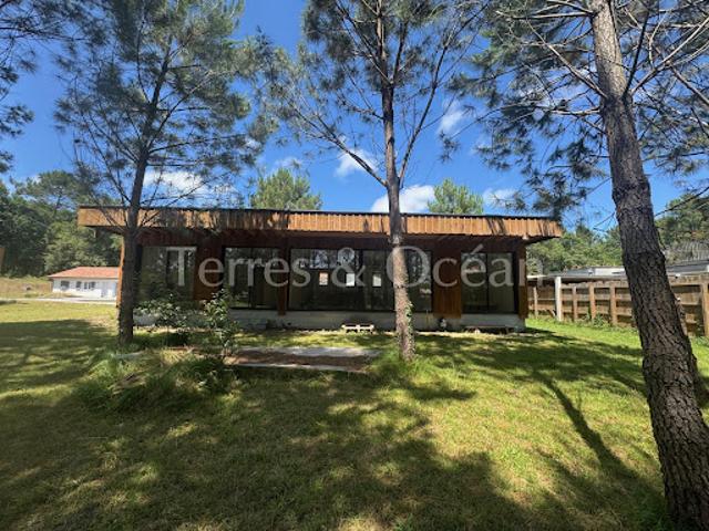 Maison vente à France métropolitaine, Messanges