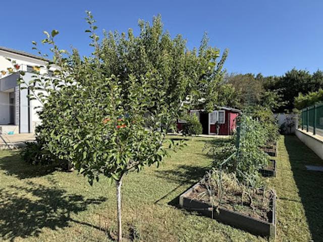 Maison vente à Corte, Santa-lucia-di-moriani