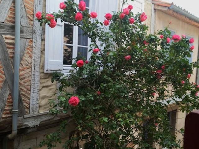 Maison vente à Castres, Sorèze