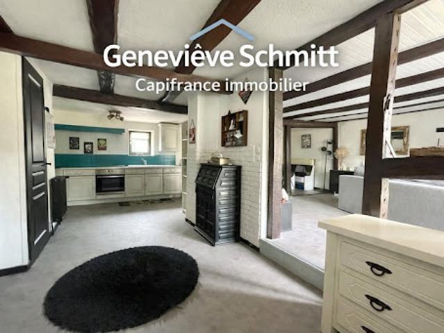 Maison vente à Colmar-Ribeauvillé, Sundhoffen