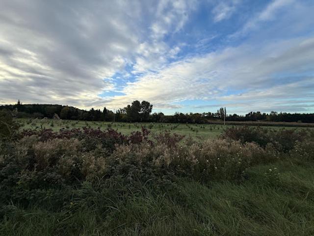Maison vente à France métropolitaine, Visan