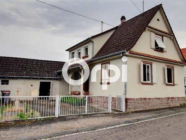Maison vente à Haguenau-Wissembourg, Betschdorf