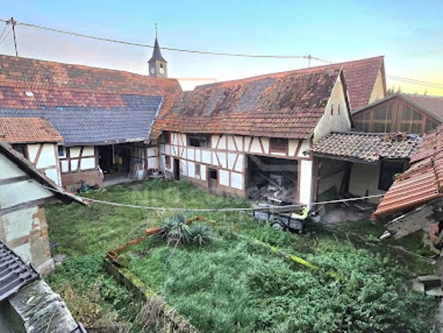 Maison vente à Haguenau-Wissembourg, Schaffhouse-près-seltz