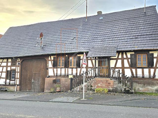Maison vente à Haguenau-Wissembourg, Schaffhouse-près-seltz