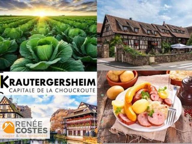 Maison vente à Sélestat-Erstein, Krautergersheim