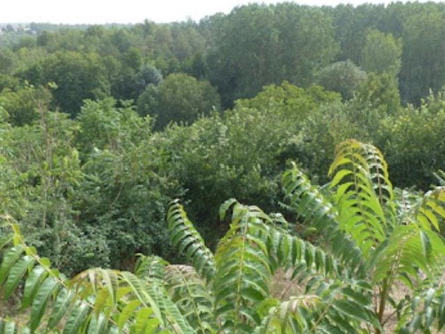 Maison vente à Parthenay, Availles-thouarsais