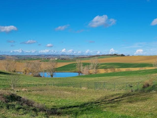 Maison vente à Le Causé, Tarn-et-Garonne