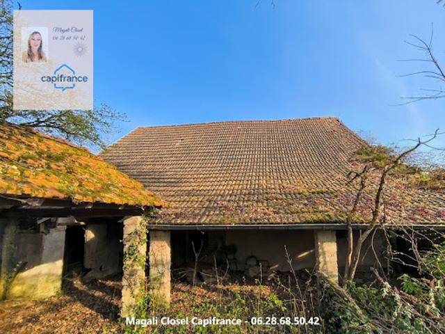 Maison vente à Louhans-Châteaurenaud, Pierre-de-bresse