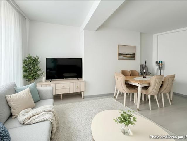 Maison vente à Romorantin-Lanthenay, Romorantin-lanthenay