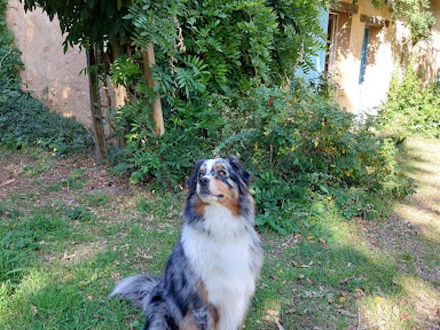 Maison vente à France métropolitaine, Le Mans