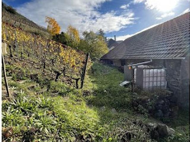 Maison vente à Thann-Guebwiller, Thann