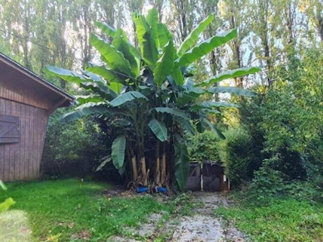 Maison vente à Torcy, Chessy