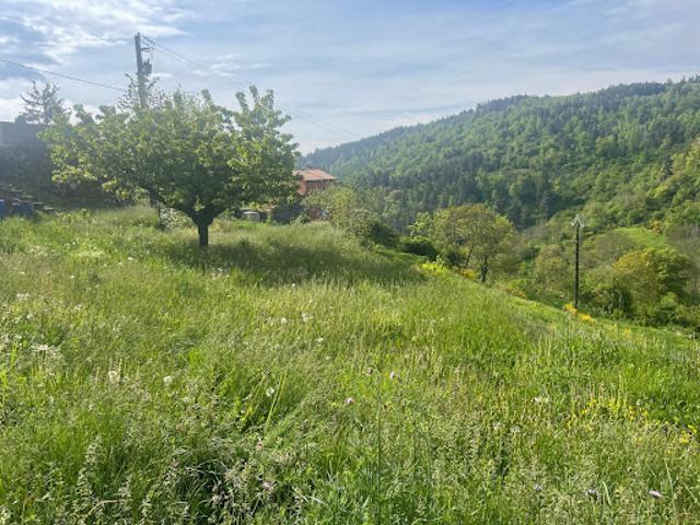 Maison vente à Mende, Grandrieu