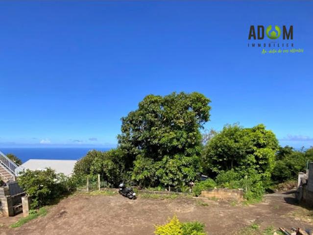 Maison vente à La Réunion