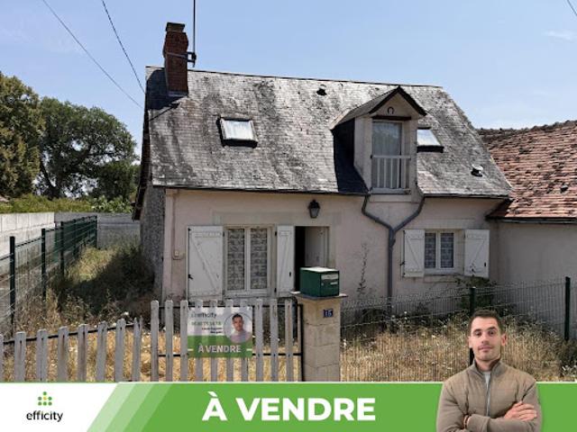 Maison vente à La Gerbussière, Pleumartin