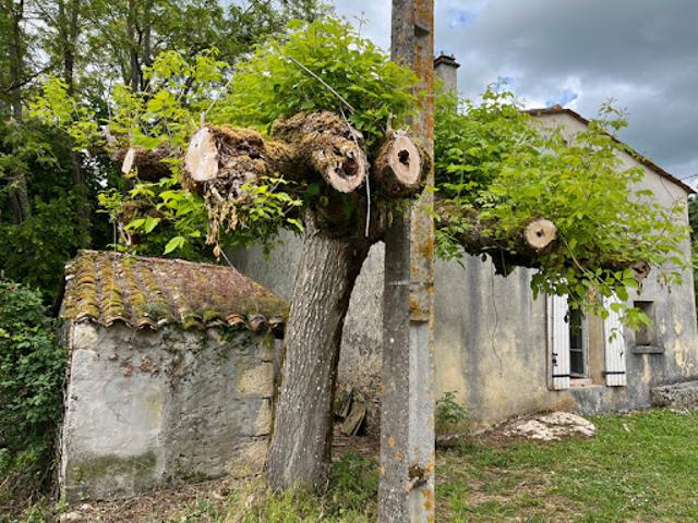 Maison vente à Langon, Cazaugitat