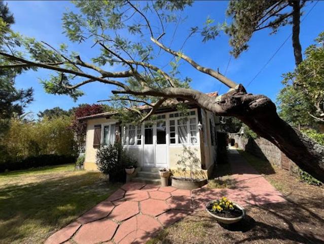Maison vente à Arcachon, Lège-cap-ferret