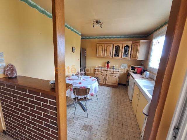 Maison vente à Montargis, Château-renard