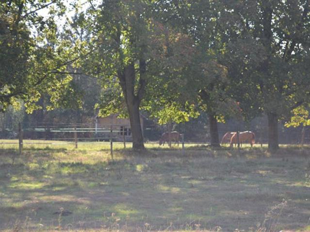 Maison vente à Bernay, Montreuil-l'argillé