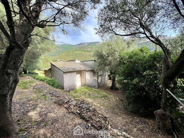 Maison vente à Bastia, Brando