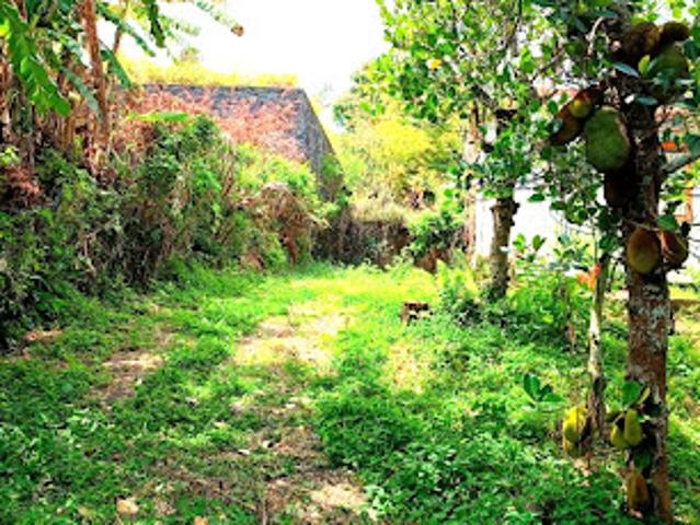 Maison vente à La Réunion